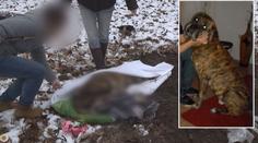 "Kdyby mu prošlo tohle, tak už všechno!"