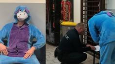 Muž řídil i přes zákaz. Policisté ho načapali v kostýmu oslíka Ijáčka!