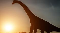 Muž našel na zahradě kostru obřího dinosaura. Fosilie je největší v Evropě