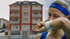 Hrůza! Tenistku Kvitovou přepadli a pořezali, nyní čeká na operaci