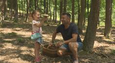 Houbaři mají žně! Kvůli plnému košíku je ale třeba si pořádně přivstat