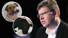 Pospíšil o trestech pro tyrany zvířat: "Mají být souzeni natvrdo."