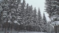 Česko zasypal sníh. Počasí už vylákalo na hory první lyžaře