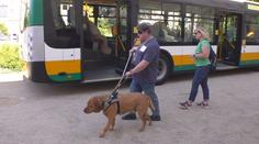 V Liberci soutěžili vodicí psi. Museli najít přechod nebo volné místo v autobusu