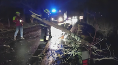 K tragédii chybělo jen málo. Na projíždějící auto spadla větev