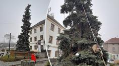 Podívejte se na nejošklivější vánoční strom v republice. Hrůza z jehličí!