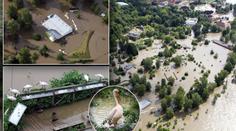 Podívejte se, jak Vltava zničila pražskou zoo. Z toho jdou slzy do očí