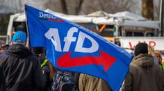 AfD je vysavačem a tlampačem nespokojenosti, říká expert. Její voliči se ale mají dobře