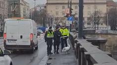 VIDEO: Labuť se vydala na procházku pražskou metropolí. Doprovodili ji strážníci