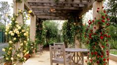 Pergola - kouzelná oáza klidu, která zkrášlí váš dům i zahradu