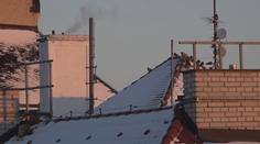 Topení se prodraží. Ceny energií i uhlí kvůli nízkým teplotám stoupají