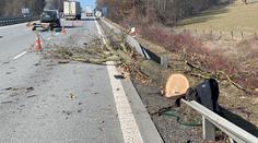 Dělník řezal porost u D1, spadl na něj strom. Letěl pro něj vrtulník