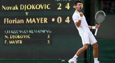 Semifinále Wimbledonu ŽIVĚ. Sledujte bitvu Djokoviče s Federerem