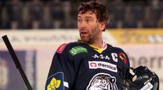 Bílí Tygři v ohrožení! Znamenal by sestup přesun do KHL?
