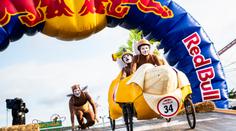 Moderátoři Snídaně s Novou: V cíli Red Bull Kár budou největší emoce