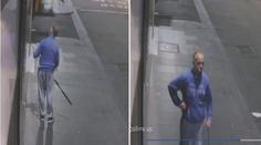 Chmaták s prutem. Zloděj "ulovil" z výlohy drahý náhrdelník! VIDEO
