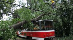 OBRAZEM: U pražského Výstaviště spadl strom na tramvaj