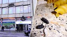 V Albertu zasahovala inspekce. Kvůli hlodavcům mu zavřela sklad