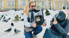 VIDEO: Že nejde cestovat s mazlíčkem? Dobrodružná kočka obletěla 45 zemí