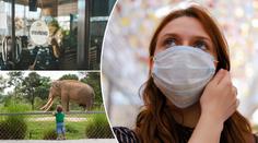 Bary, koupaliště, koncerty: To vše se od 25. května mění! Velký PŘEHLED