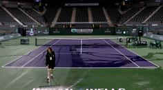 Wimbledon již není hranicí, ITF znovu odložila své turnaje na nový termín