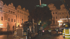 Praha má vánoční strom. Na Staroměstské náměstí přijel z Liberecka