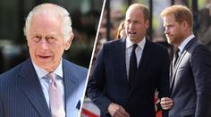 William a Harry ranili krále Karla. Měl na ně srdceryvnou prosbu