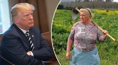 Donald v sukni a s motykou: Seňora Trump okopává brambory