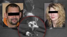 To jsou manželé, kteří přežili napadení v Duchcově: Chceme spravedlnost, říkají