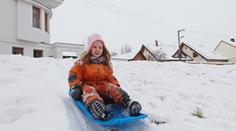 Češi zoufale shání boby! Tady jsou obchody, kde je mají! PŘEHLED