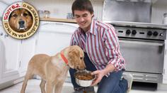 10 NEJVĚTŠÍCH CHYB při krmení vašeho psa! Pozor, ať ho nakonec nezabijete!