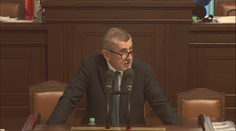 Kritika přerušení konzultací se Slovenskem. Jste jak malé děti, říká Babiš