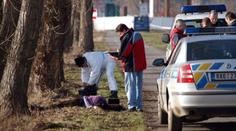 Ženu stála noční procházka život, její mrtvé tělo našli ležet v příkopu