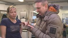 V jihlavské zoo probíhalo vyšetření krokodýlů. Pomáhal i reportér TV Nova
