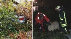 Bouře Mortimer má tři oběti! Hasiči zachraňovali i stovky zvířat