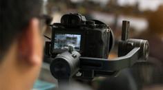 Brali psy z útulku a točili s nimi porno! Soud jim dal jen podmínku