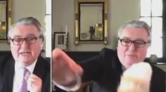 VIDEO: Největší komplikace při videohovorech jsou domácí mazlíčci