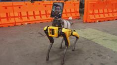 Technologická revoluce! Robot dokáže pást stádo ovcí