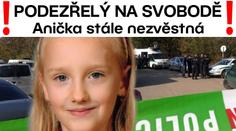 Pátrání ON-LINE: Podezřelý na svobodě! Nález plyšové hračky