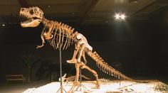 Obří dinosauři dorazili do Prahy