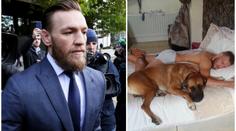 Velká ztráta pro McGregora, zemřel mu jeho nejbližší společník