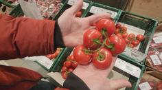 Kontrola potravin v Turnově: Obchody ve městě by mohly jít příkladem