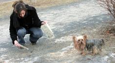 Zlín zakázal venčení psů v parcích kvůli lejnům. Pejskaři se bouří