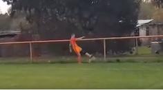 Fotbalista při zápase zabil nebohé zvíře. Stačil mu jediný kop