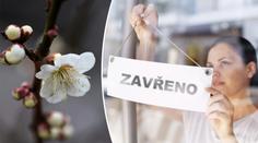 PŘEHLED: Jak bude otevřeno na Den vítězství? Tady si nakoupíte