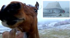 Podivná vesnice: Sousedi staví domy z koňských koblih! VIDEO