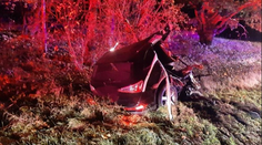 Tragická nehoda na jihu Čech. Náraz do stromu roztrhl auto vejpůl, řidič nepřežil