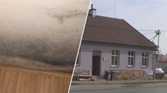 Plíseň zamořila ženě už druhý obecní byt! "Já bych tam nežila," říká radní