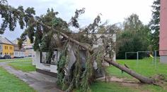 V Česku řádí silný vítr. Meteorologové vydali výstrahu pro tři kraje