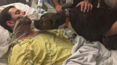 Dojemné VIDEO: S umírajícím se přijde rozloučit i jeho pejsek